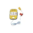 Trainingspads_FRx.webp