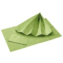 Patientenservietten, fresh green 33 x 45 cm, 2-lagig (500 Stck.)