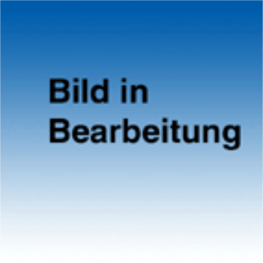 [ASC 85255843] MICROLET Lanzetten farbig (200 Stck.)