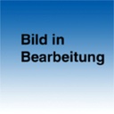 MICROLET Lanzetten farbig (200 Stck.)