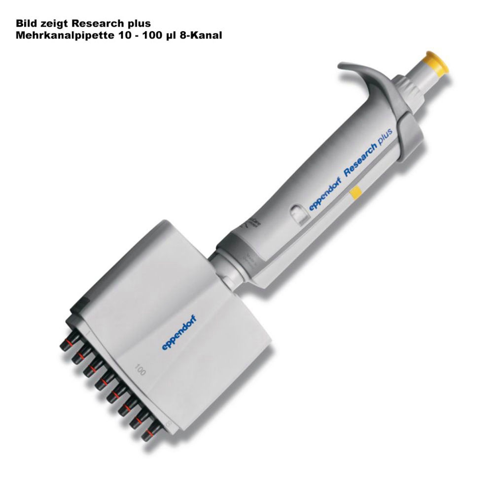 [EPP 3125 000.052] Research plus Mehrkanalpipette 8-Kanal 30- 300 µl