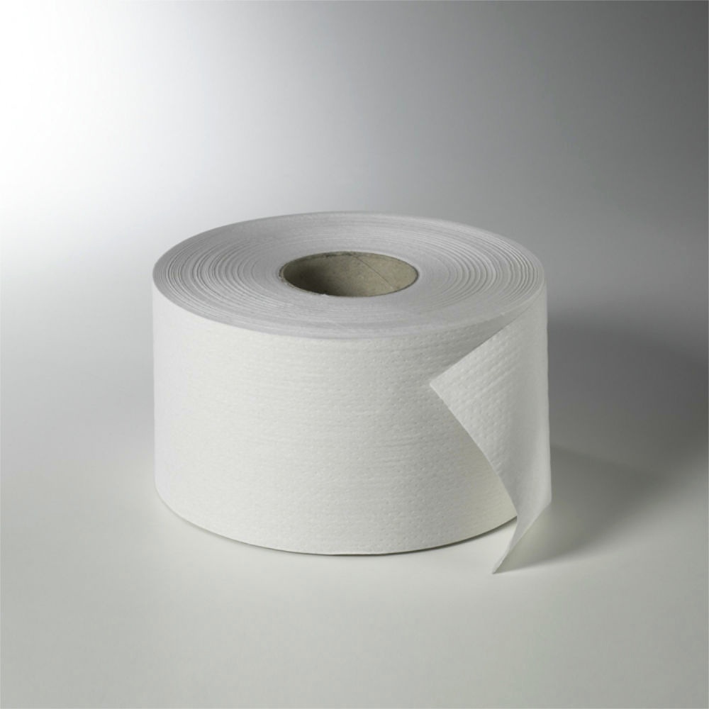 [FRI 1431800] Fripa - Toilettenpapier maxi, 2-lagig 180 m, nicht perforiert (12 Rl.)