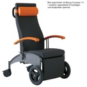 Transport- und Variationsliege carryline Mobil, fahrbar