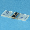 Assistent Zählkammer n. Fuchs-Rosenthal Doppelt, hell-linig mit CE-Zeichen