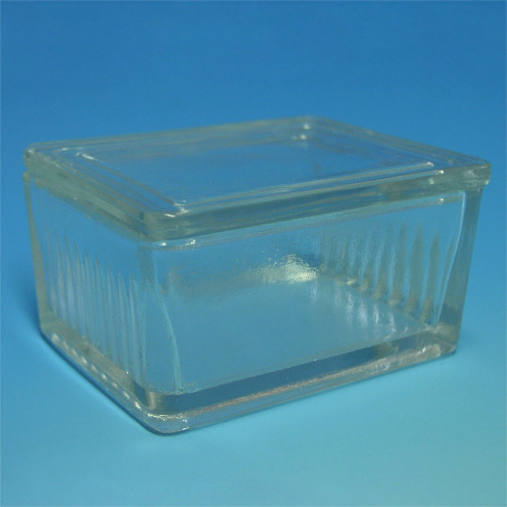[HCT 42450010] Objektträgerkasten aus Glas, mit Deckel Nach Schiefferdecker