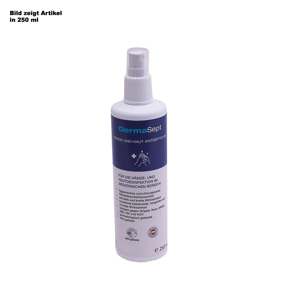 DermaSept 250 ml Hände- und Hautdesinfektion