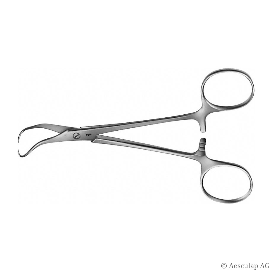 [AES BF444R] Backhaus Kocher Tuchklemme, 13,5 cm