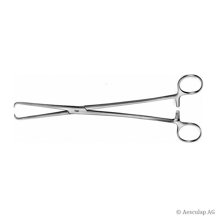 [AES EO110R] SCHROEDER Hakenzange Standard Gerade, 25 cm