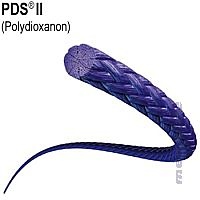 [ETH ZX2026] PDS Kordel violett rund geflochten Fadenlänge 60 cm (3 Stck.)