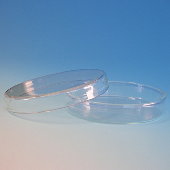 Hecht Petridoppelschale 15cm