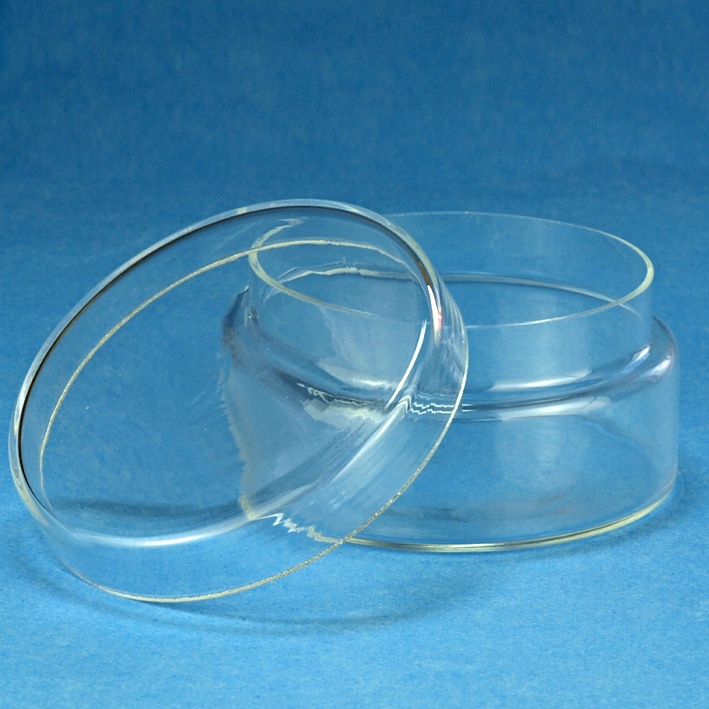 Glasdose mit losem Deckel 40 x 80 mm