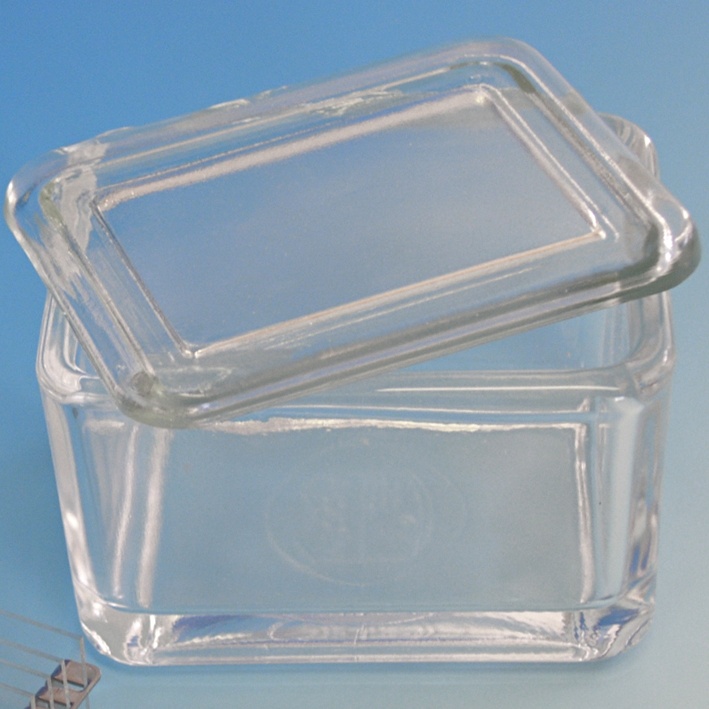 Glaskasten mit Deckel allein 9 x 7 x 6,5 cm