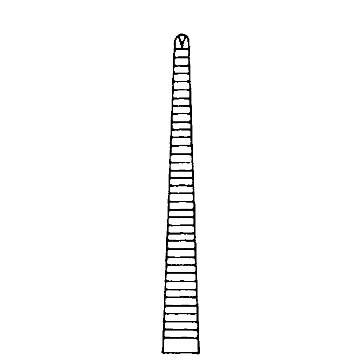 [MAR 133221207] Mikro-Mosquitoklemme, 1 x 2 Zähne Gerade, 12 cm