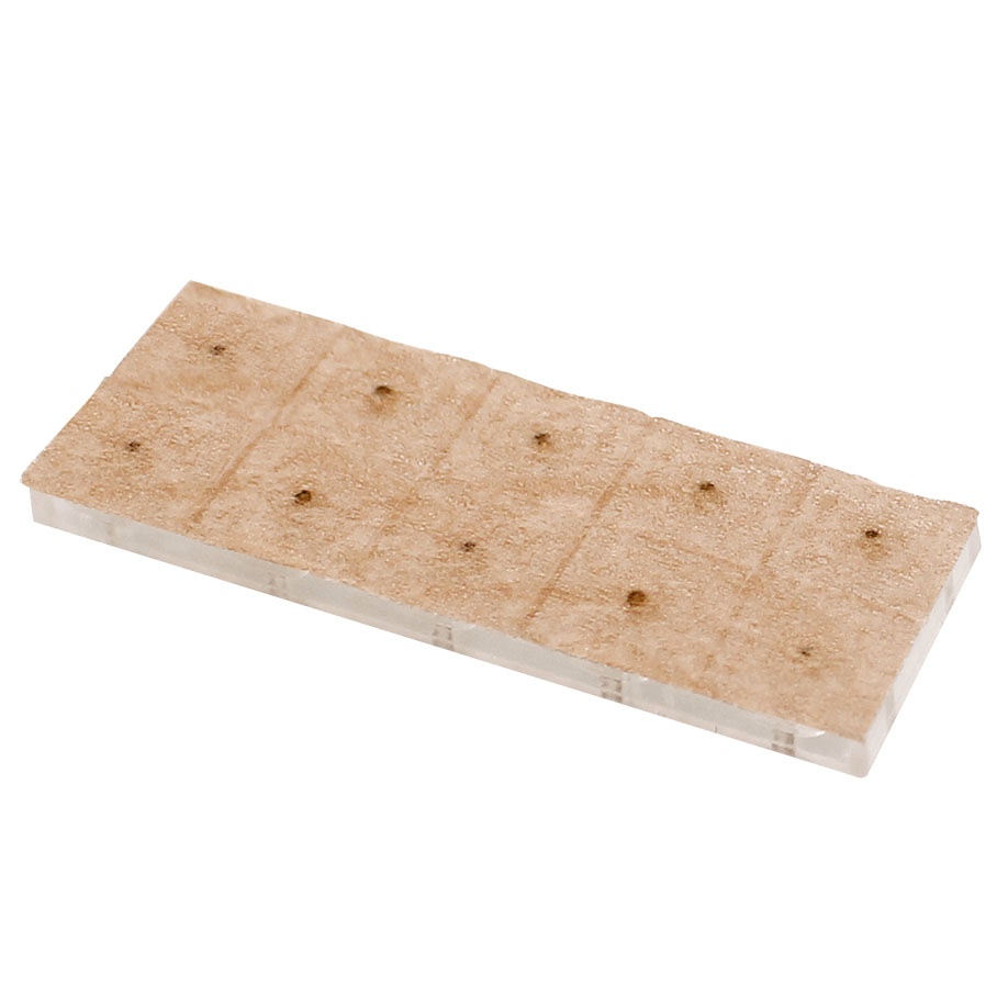 [MEG 148510] Magnetische Ohrkugeln (100 Stck.)