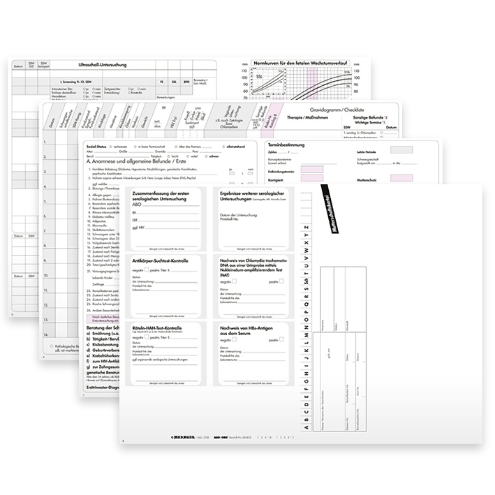 Mutterschaftskarteikarten (250 Stck.)