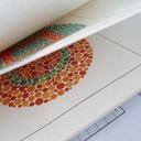 Ishihara Farbtesttafeln für Analphabeten + Kinder, Buchformat 10 Tafeln, gebunden