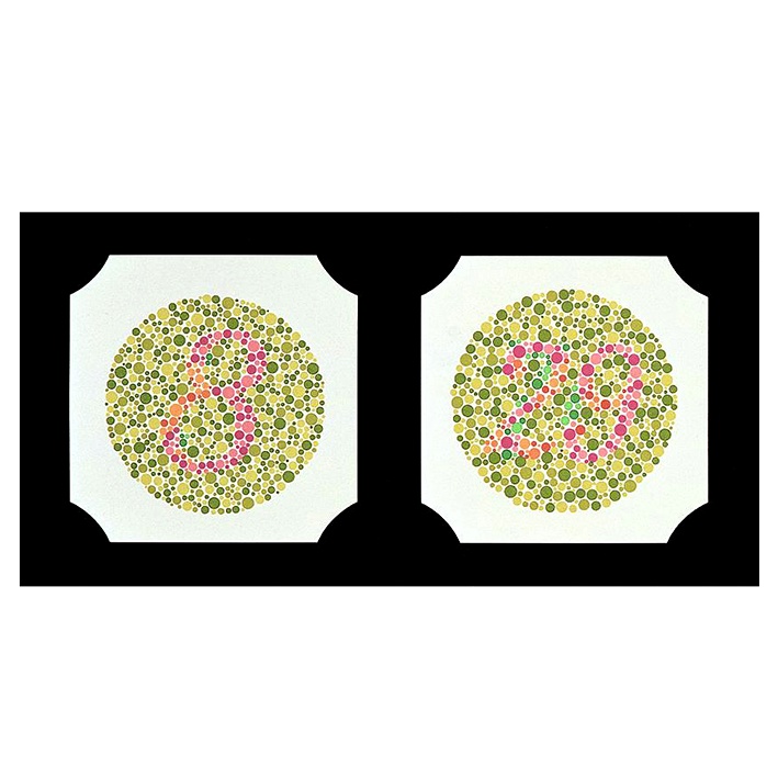 Lshihara Farbtafeln Buchformat, 38 Tafeln, gebunden