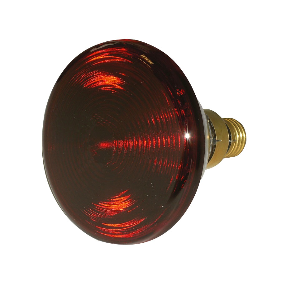 [REI 240017] Ersatzlampe 150 W für IR Classic