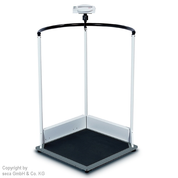 Funkfähige Stehhilfewaage 360° seca 645 Inkl. Eichkosten  69,00