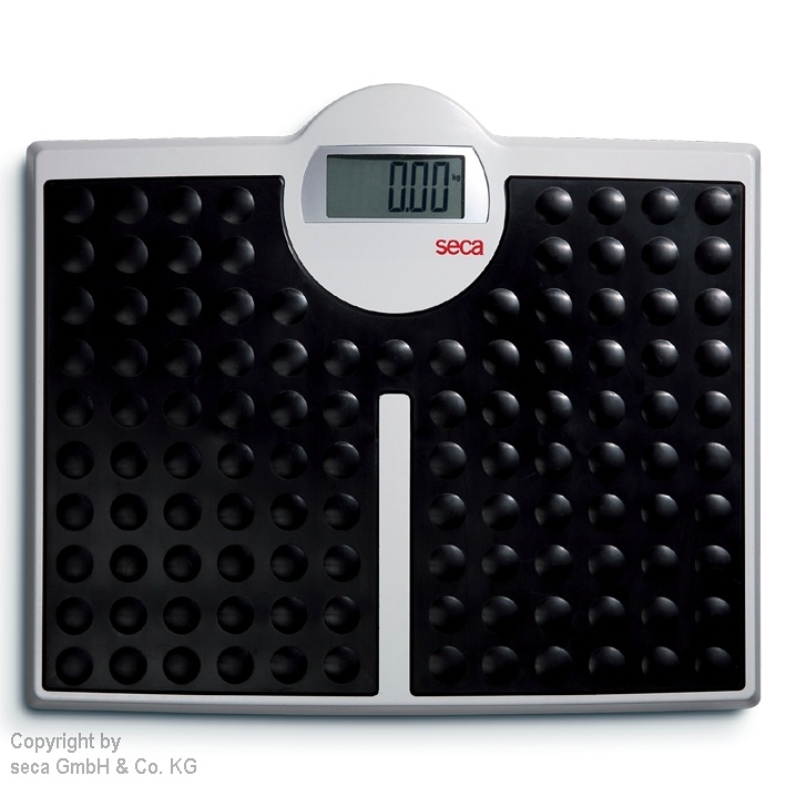 [SEC 8131321009] Elektronische Flachwaage Seca robusta 813