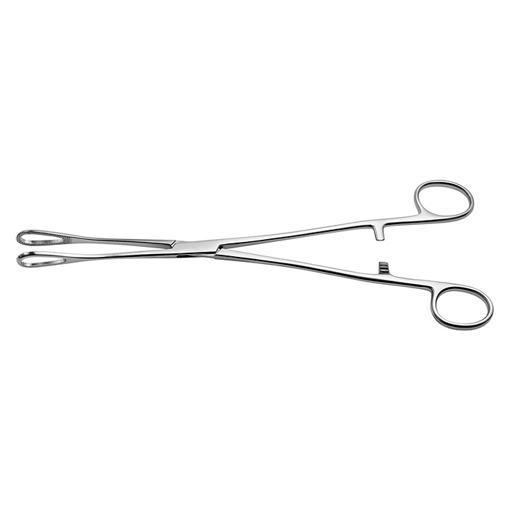 Rampley Schwammzange Gerade, 25 cm