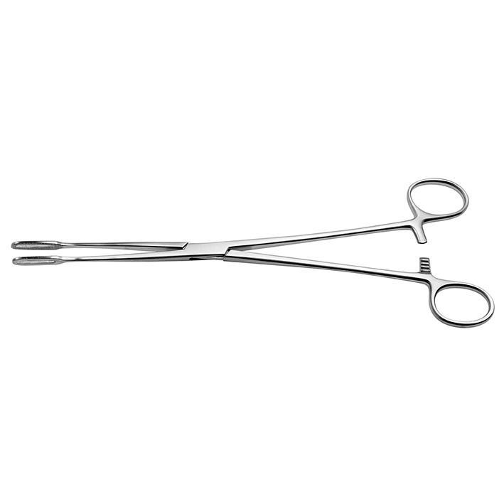 Fletcher (Javerts) Schwammzange Gerade, 25 cm