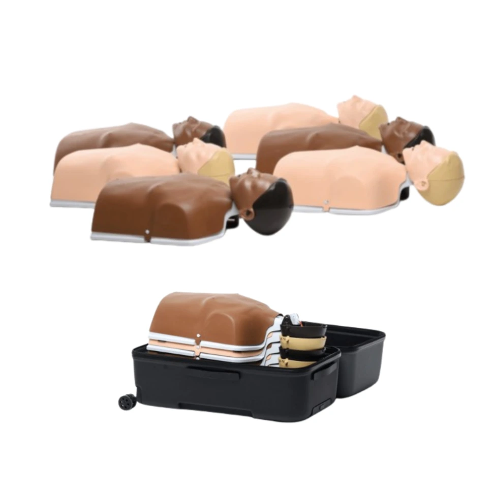 (135-01050) Laerdal Little Anne stapelbar - 6er Pack