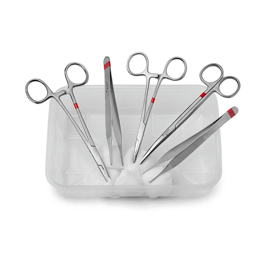Fuhrmann Basis-Set fein