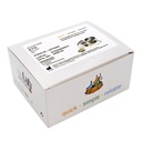 ETG Test (10 Kassetten) Alkoholtest