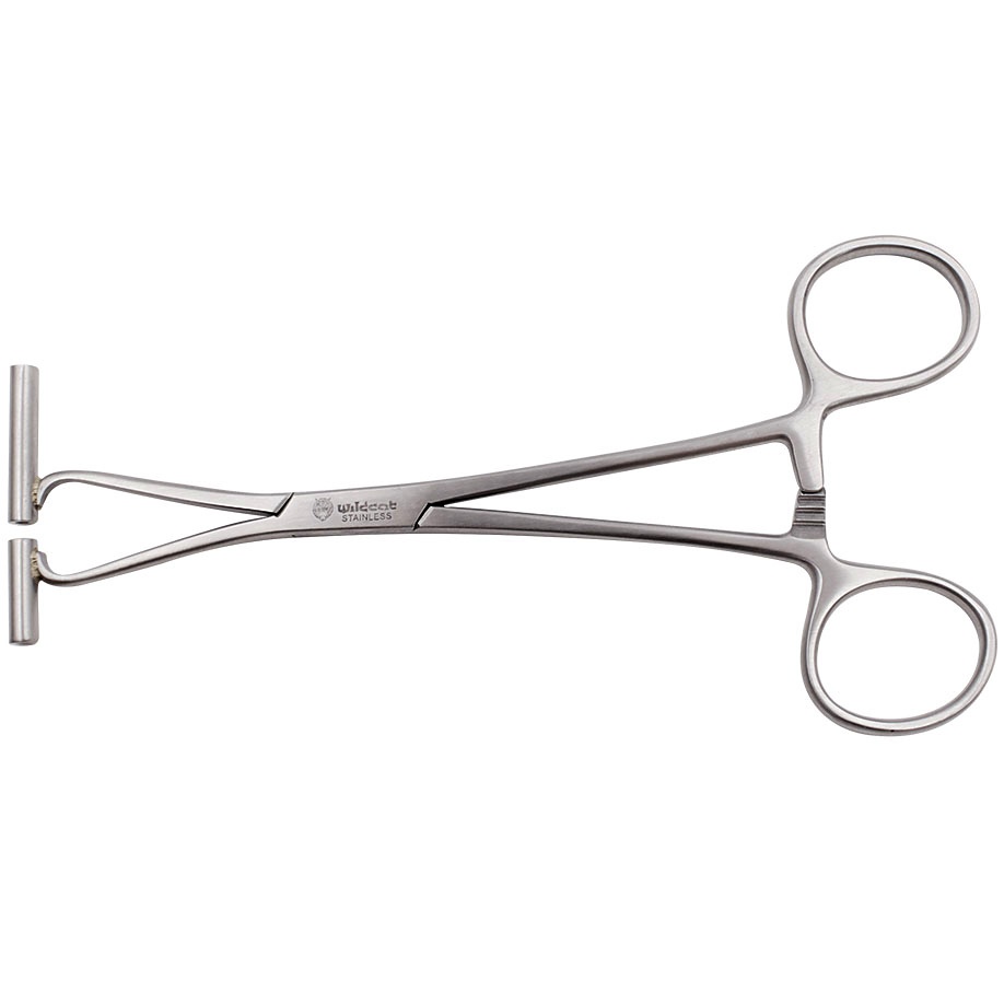 Polierte Septum Zange