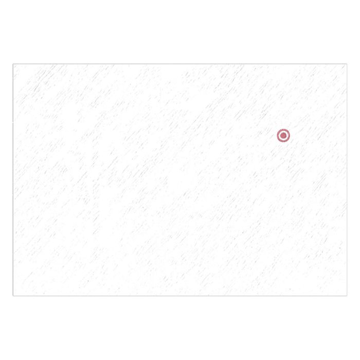 Einmal-Papierfilter 235 x 165 mm (100 Stck.)