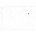 Einmal-Papierfilter 235 x 165 mm (100 Stck.)