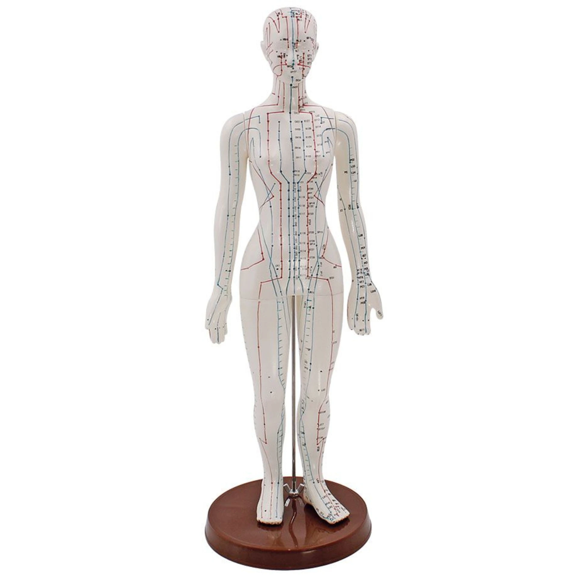 Akupunkturmodell Frau