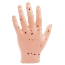 Akupunkturmodell Hand