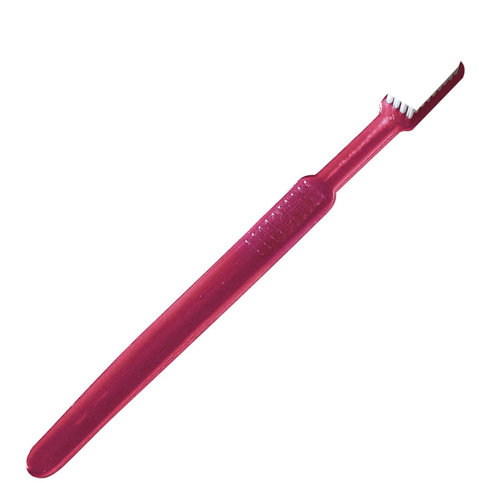 [MEG 199101.3] Einmal-Zahnbürsten mit Paste Weinrot (100 Stck.)