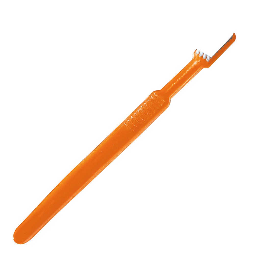 Einmal-Zahnbürsten mit Paste Orange (100 Stck.)