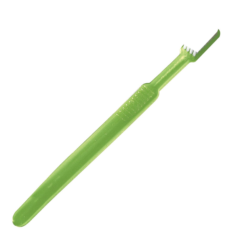 Einmal-Zahnbürsten mit Paste Limette (100 Stck.)