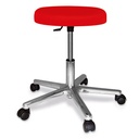 Rollhocker ratiomed rot