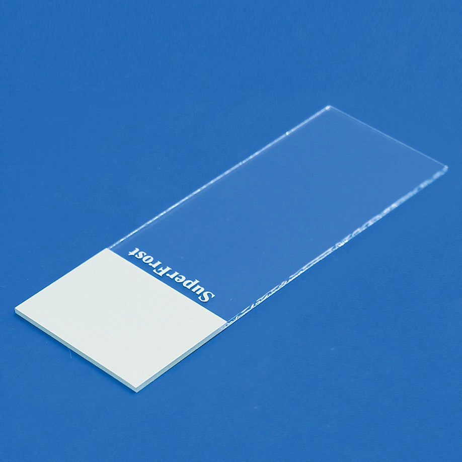 Objektträger SuperFrost weiß Geschnitten (50 Stck.)