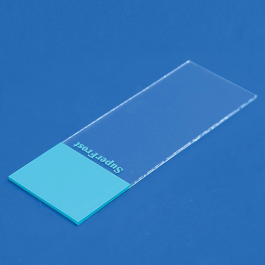 [MEZ 021200.1] Objektträger SuperFrost blau Geschnitten (50 Stck.)