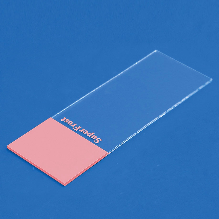 [MEZ 021200.2] Objektträger SuperFrost rosa Geschnitten (50 Stck.)