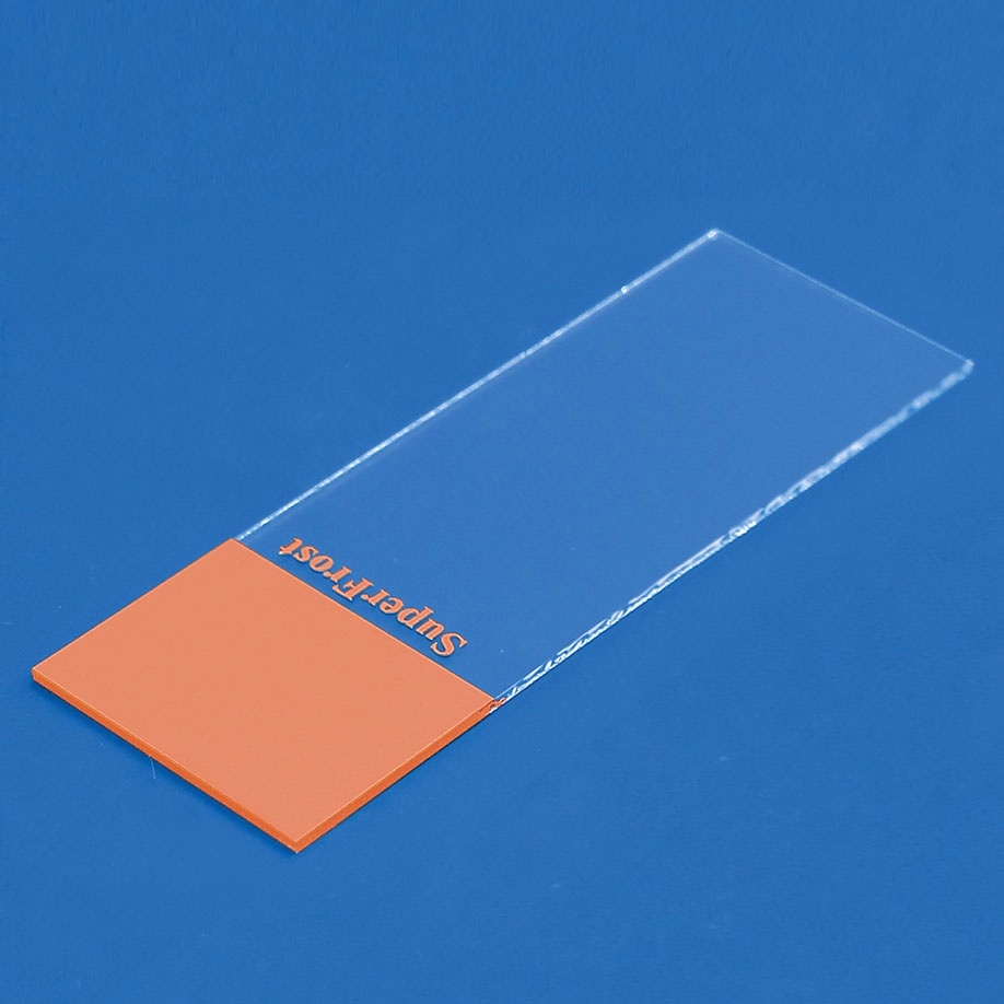 Objektträger SuperFrost orange Geschnitten (50 Stck.)