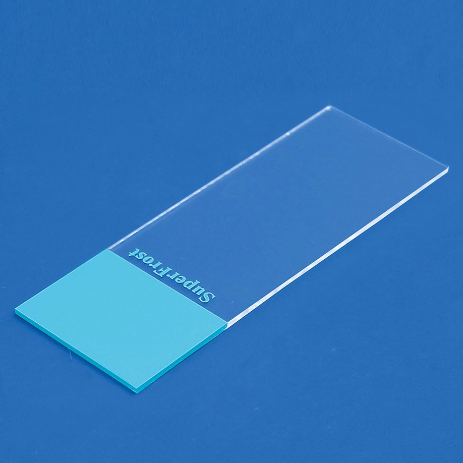 Mikroskop-Objektträger SuperFrost blau 90° geschliffen