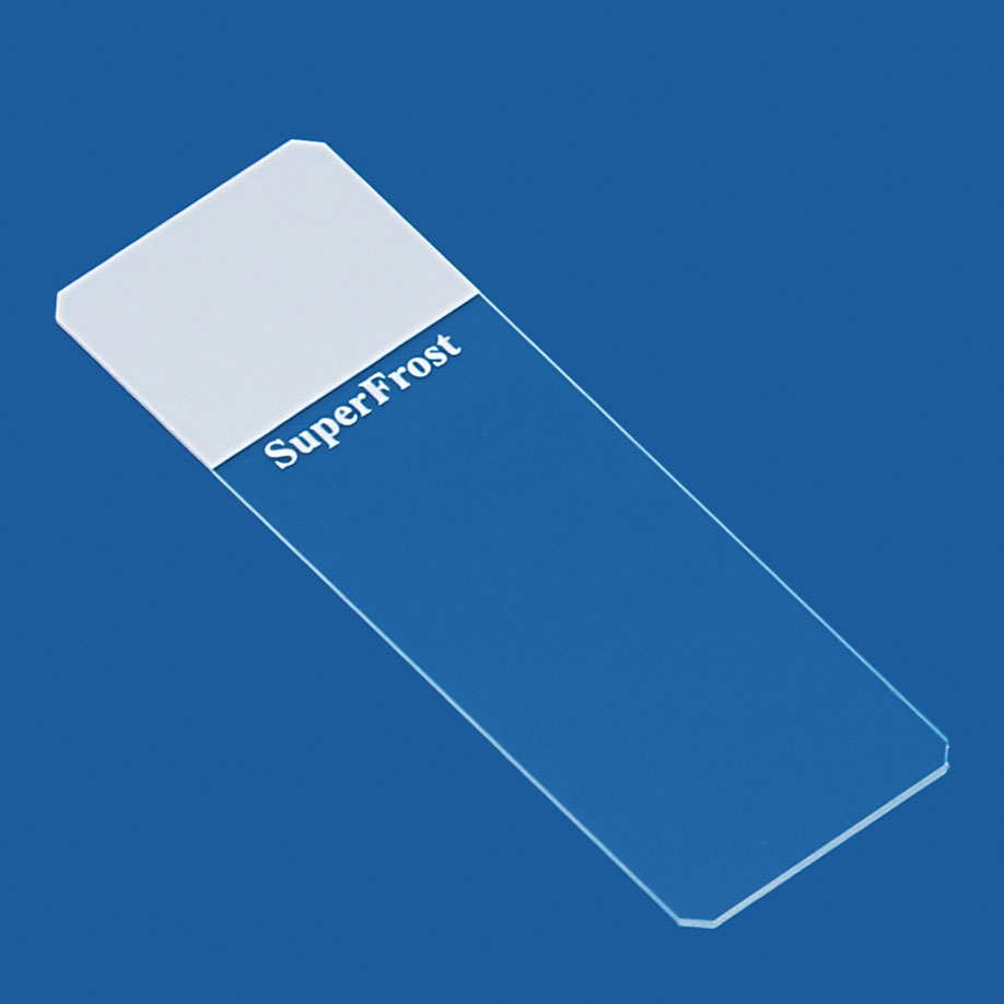 Objektträger SuperFrost weiß Geschliffen 45° (50 Stck.)