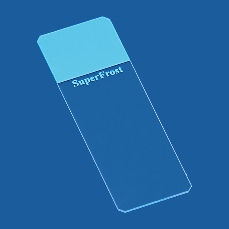 Objektträger SuperFrost blau Geschliffen 45° (50 Stck.)