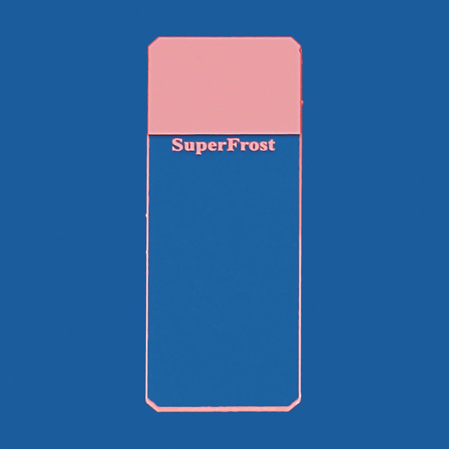 [MEZ 021202.2] Objektträger SuperFrost rosa Geschliffen 45° (50 Stck.)