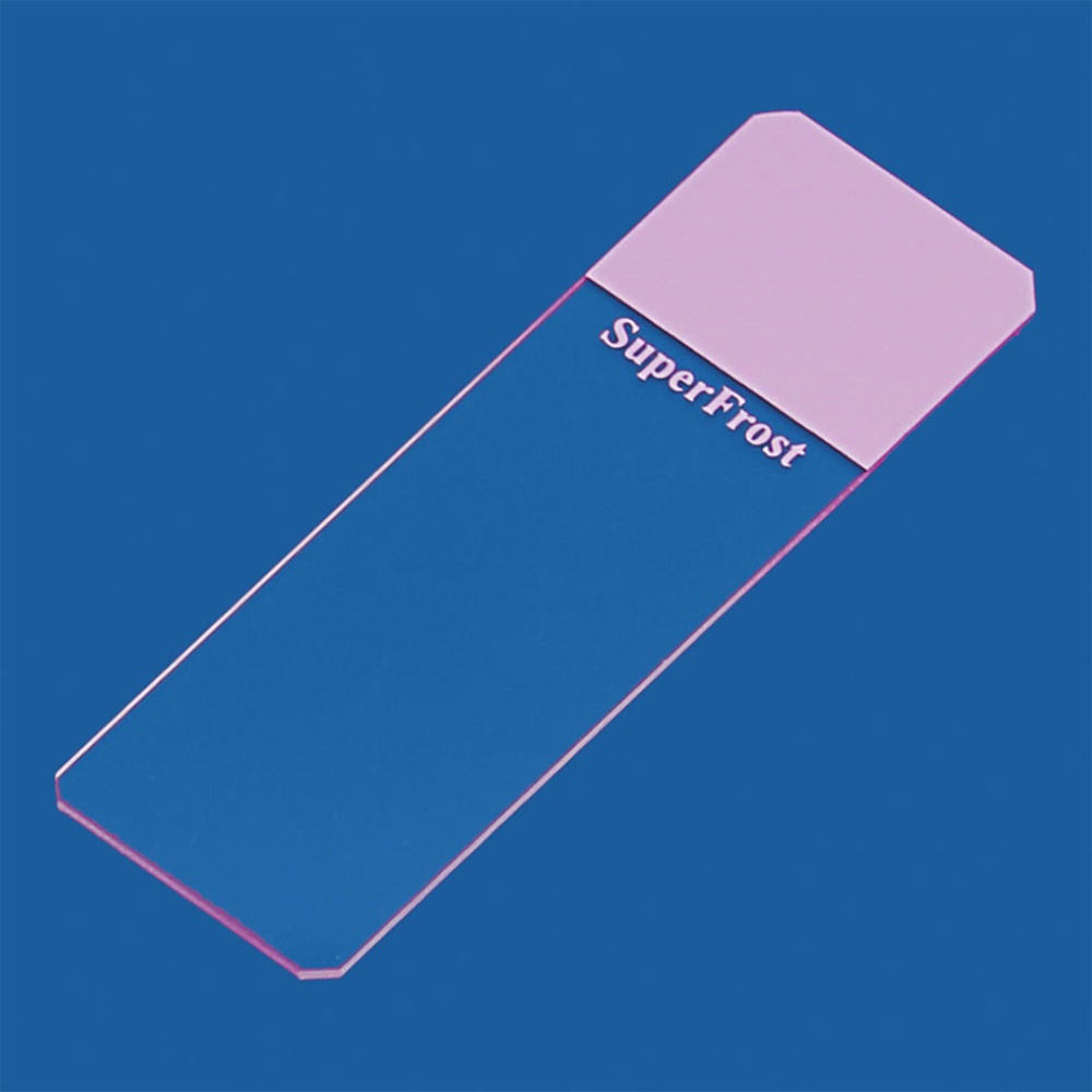 Objektträger SuperFrost lila Geschliffen 45° (50 Stck.)