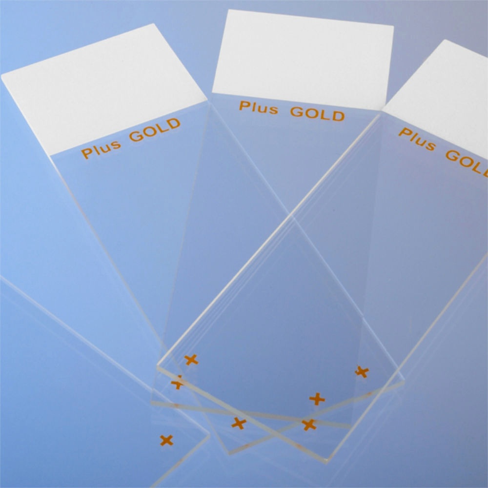 [MEZ 021333] Objektträger SuperFrost Plus Gold Geschliffen 90° (72 Stck.)