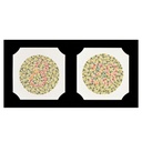 Ishihara Farbtafeln, Buchformat 24 Tafeln, gebunden