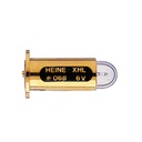 XHL Xenon Halogen Lampe 6 V